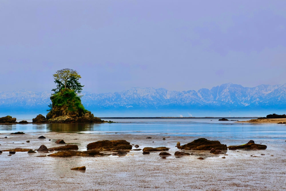 Rock island with a tree in the middle of a body of water with mountains in the background